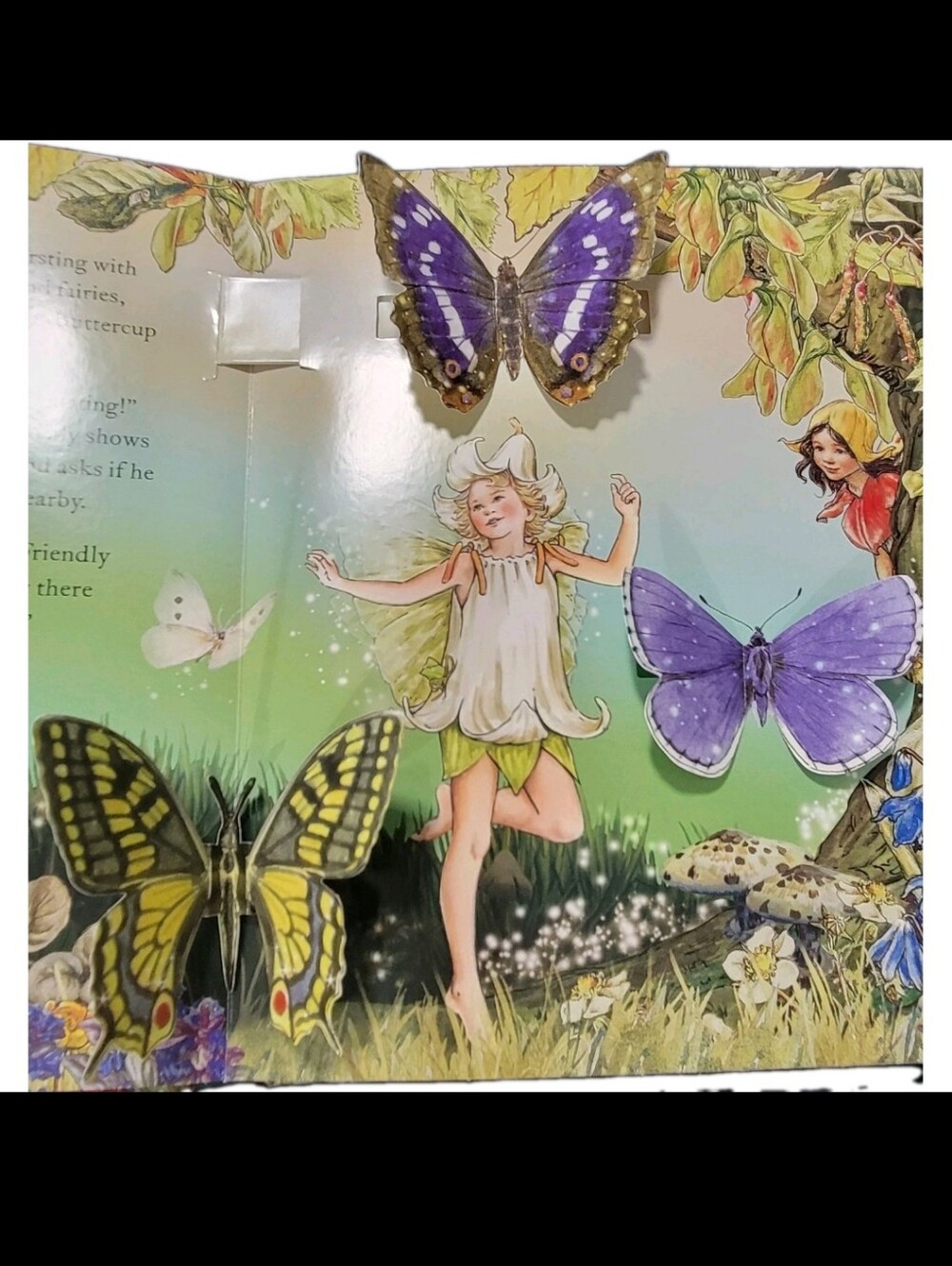 Flower Fairies Magical Secret Garden Hardcover Pop-Up Book Whimsy New HC - Picture 3 of 6